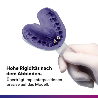 Impregum Penta Soft 2x300ml Base,2x60ml Katalysator Napa