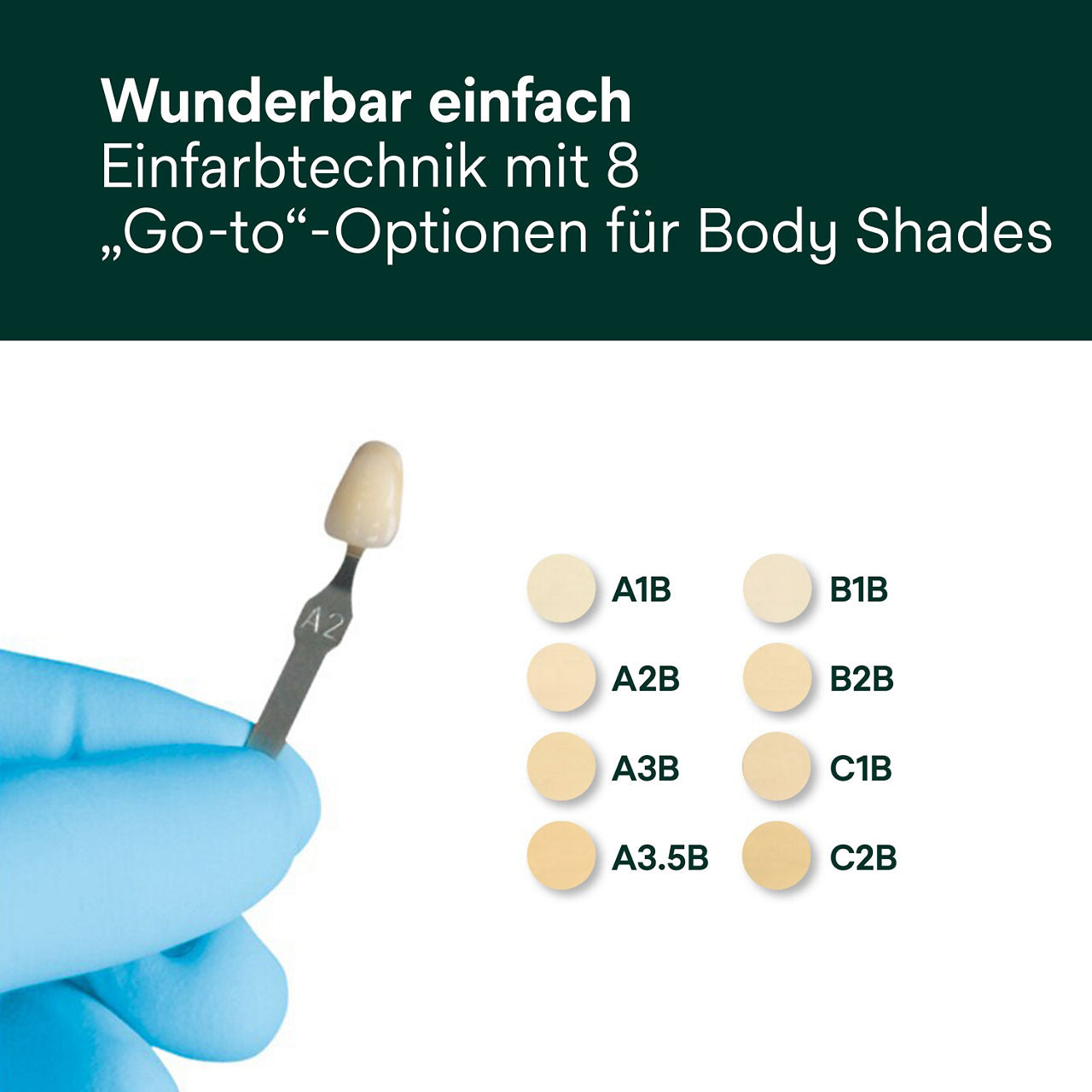 Filtek Supreme XTE Einfarbtechnik Pa 4x3g